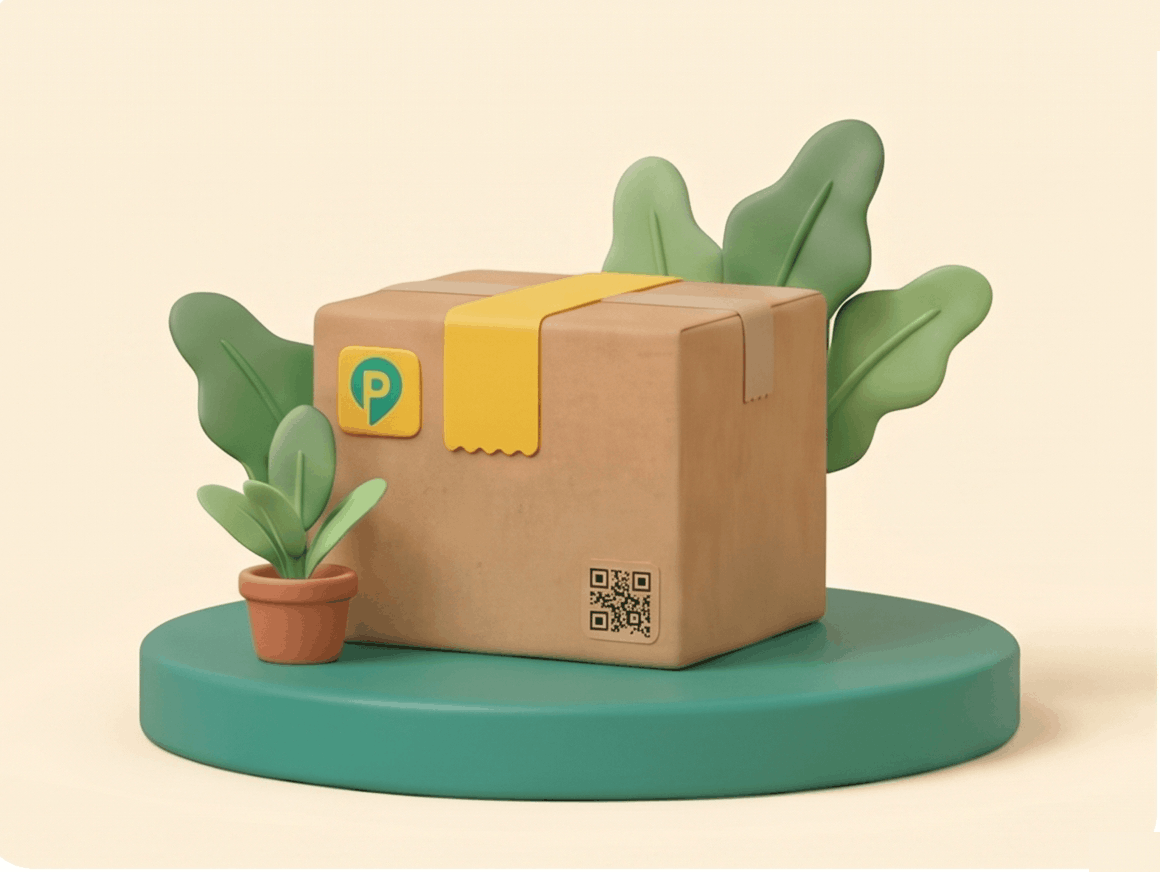 Paquete rodeado de hojas y plantas